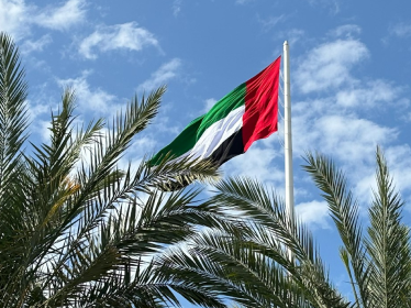 Taxes in the UAE: A Brief Overview of Key Points